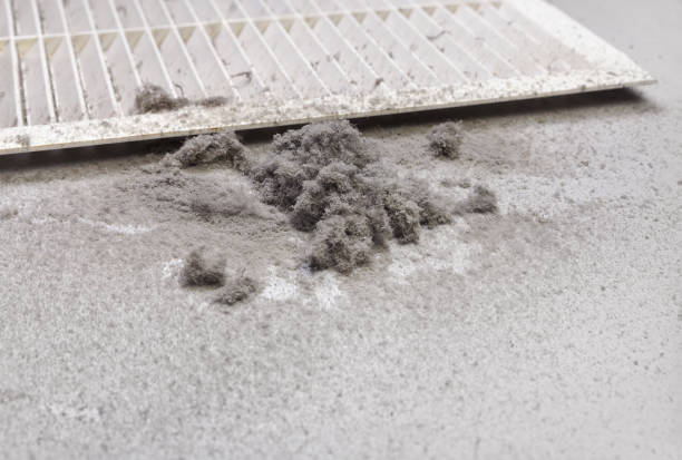 Best Affordable HVAC Duct Cleaning  in Union City, GA